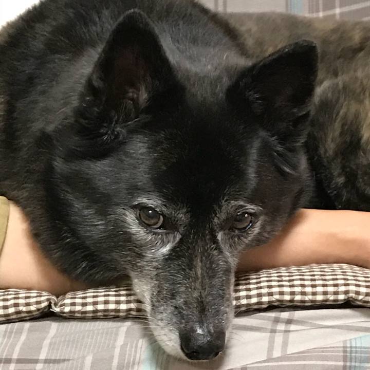 947ec033 4e60 452b 82ba 59f7eb2dca16 1531480591391