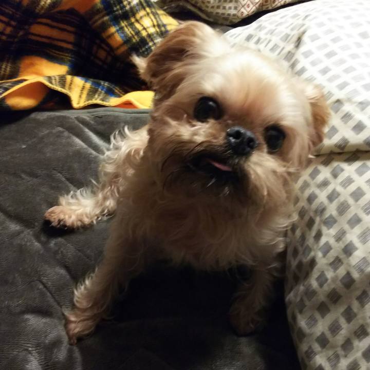 947ec87a 0d2f 4a3d 9625 c687537b05a0 1513778834061