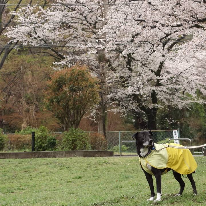 947f054b ede0 4360 88a6 57c7c8730b4f 1743640764797