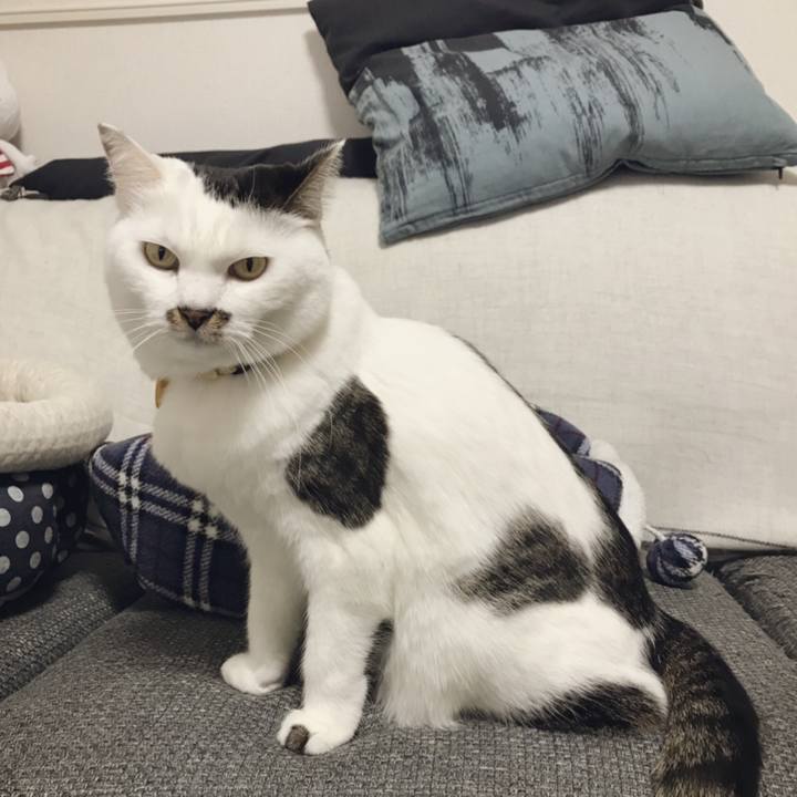 947f0e79 0e6b 4d18 b9f7 0251d0727954 1544771557482