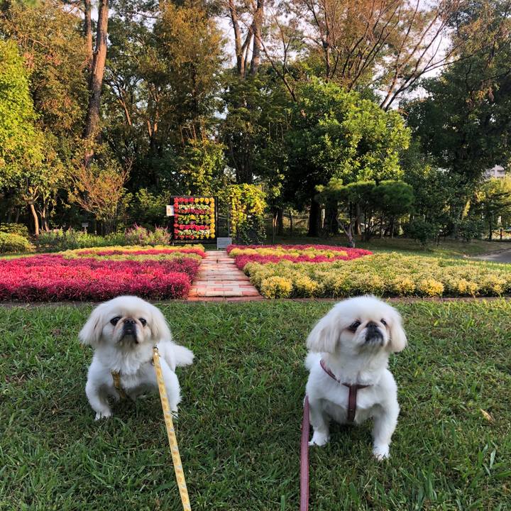 947f23cb 4334 455b b10d 9c66b5076100 1539819223198