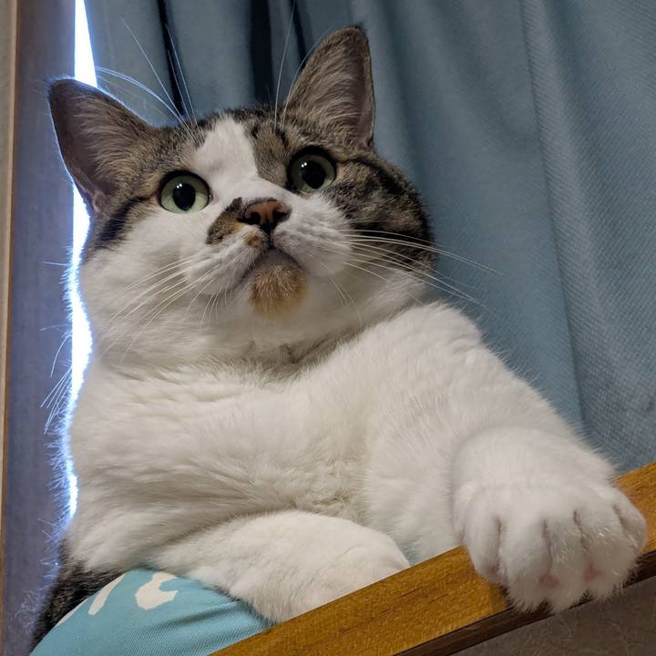 947f27a0 b9c9 4d1c 80ea b6387de33533 1757106690182