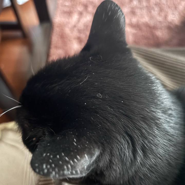 947f661c 469b 4180 a4e8 fc39461455cb 1757913770404