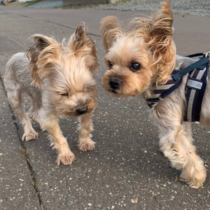 947fa96f 336d 479f b922 632db8ea8509 1664272895609