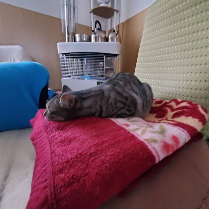 947fbab9 0760 4352 8329 a14f009c5a02 1708786921952