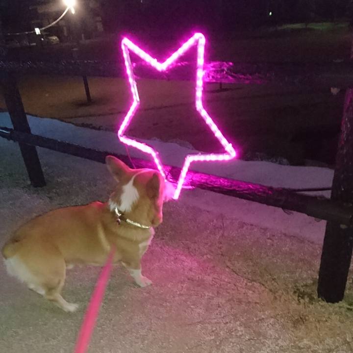 947fcde9 8e66 43b8 b936 b476706e29ed 1608548878827