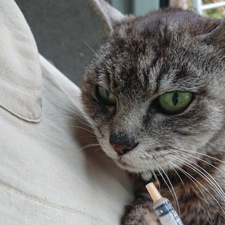 947fe4e2 eed3 4c4c b53b 4e1800dd0caf 1594245306039