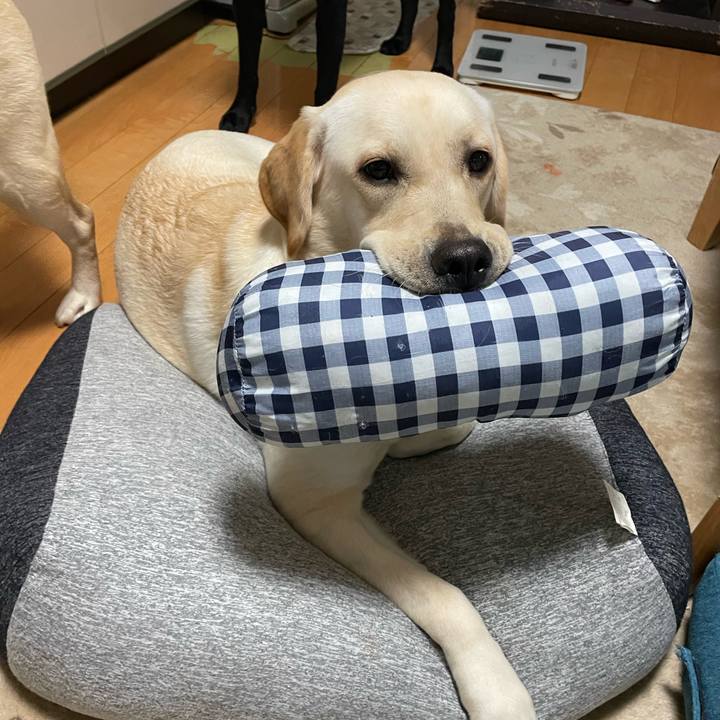 947fe831 de47 458e 920b d3b6e1112d08 1638454434350