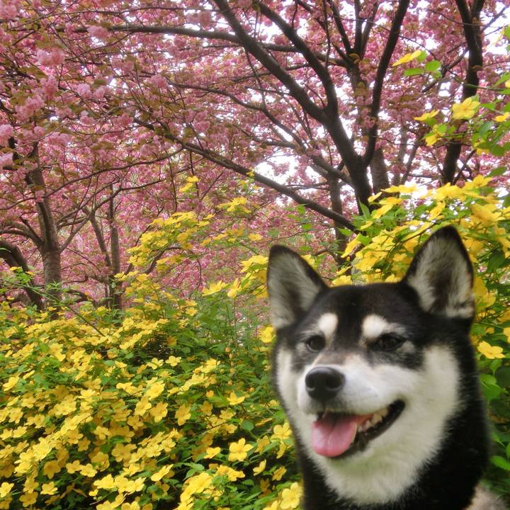 94802a5e 0e51 4225 b817 fa18b2f598f7 1524869696947