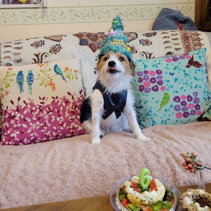 94805a7a a505 4f83 bc4f 06489f01f193 1667053934923