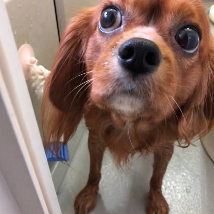 94805b53 8c96 4d17 b4cf 95638f3658c9 1536448032453