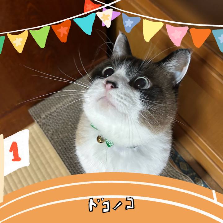 94805e91 a049 49f0 a525 9ca77876cbff 1762460019149