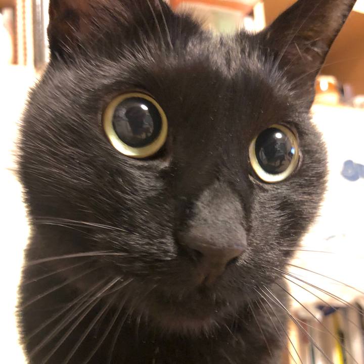 94807ddf b803 4e80 a74a e42594f1ce9a 1579337708260