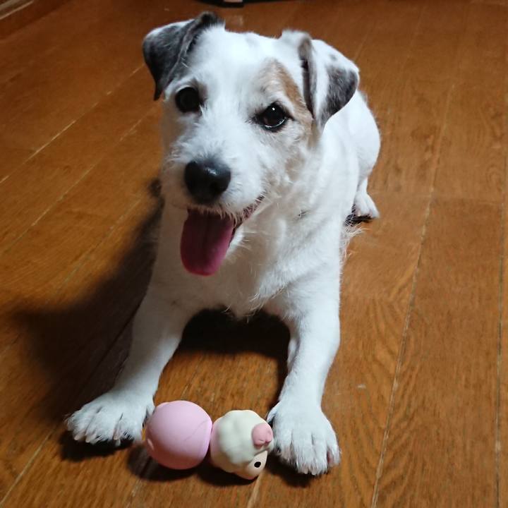 9480920b a196 4d81 94c1 4d1f653e3c6f 1536279692580