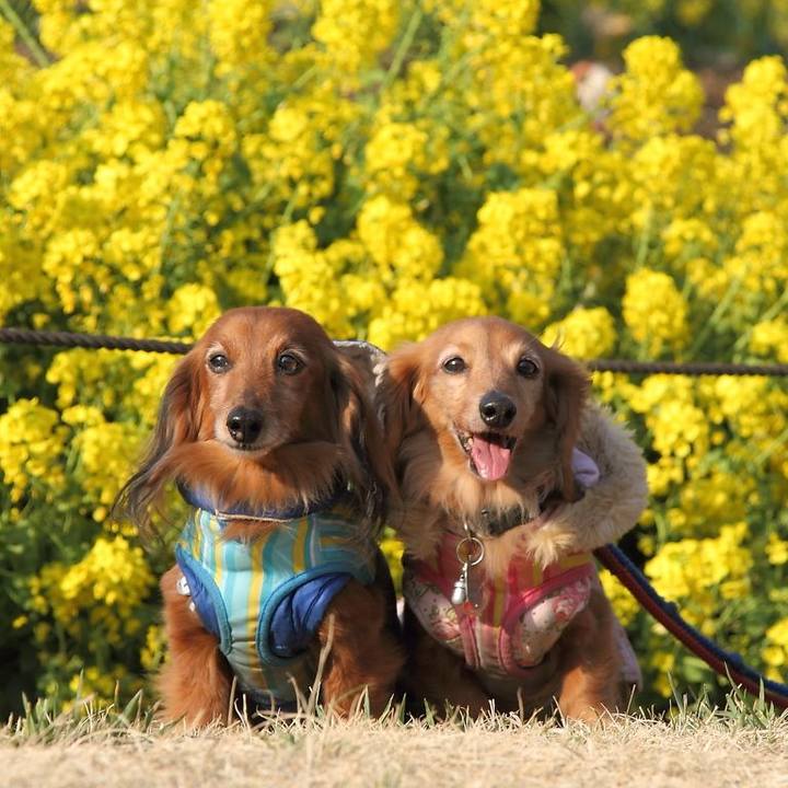 9480dc03 4d3a 4238 b120 ecf1bb5f9f5d 1772632794600