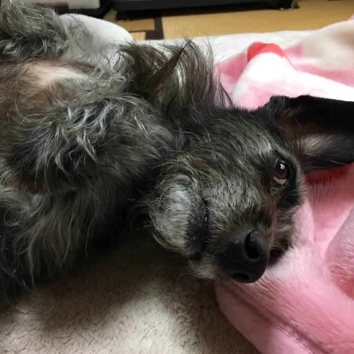 9480f3ae 03a2 4158 9393 c9203d13c3ad 1509490557158