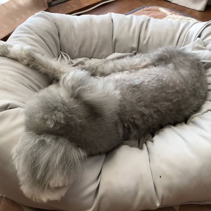 94817ab6 d926 4848 8209 2b038d19efa9 1632812330643