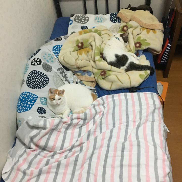 94817b85 8516 4595 8b22 33fadf5a1f09 1541319092225