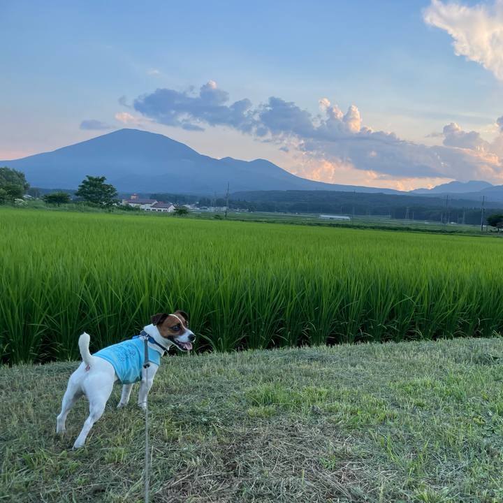 94819117 3df4 436b be83 b6a86cdc3a88 1626691698947