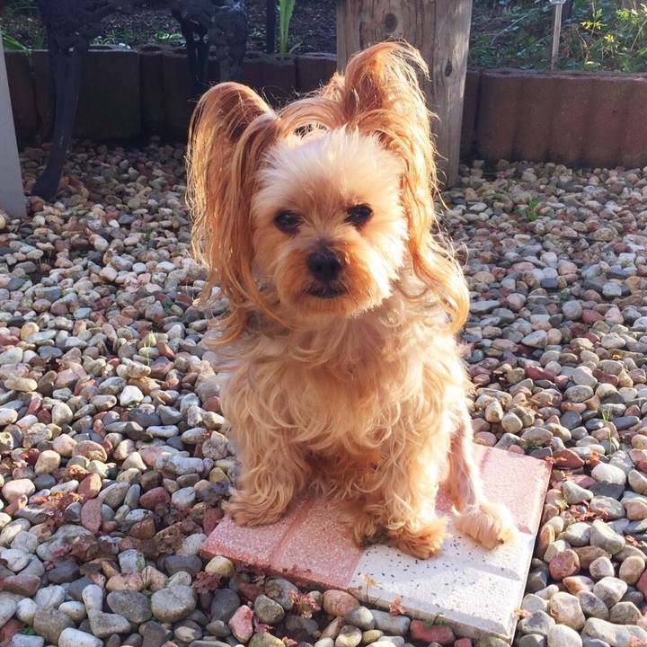 9481cecc 4bbb 4e4d a778 5aee43558c2c 1535365903492