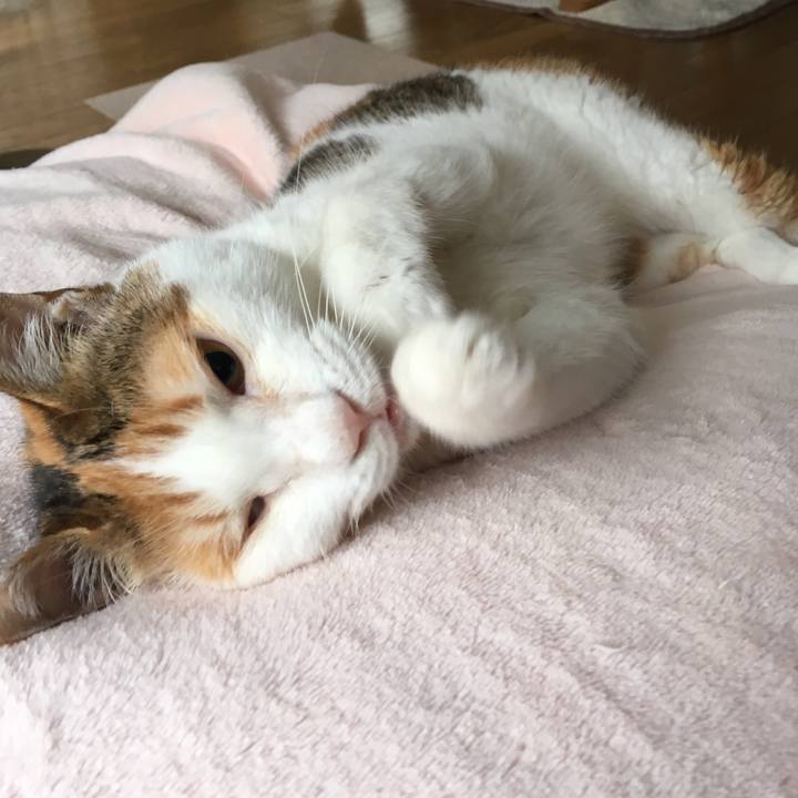 9481daa1 fa17 41b2 befe 6171df4dbdf4 1563332622755