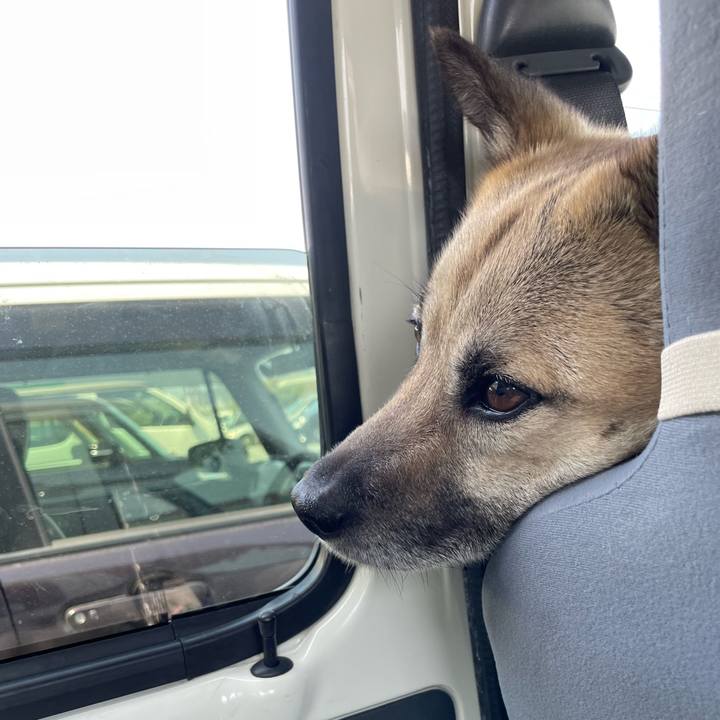 9481e10a 0766 44c1 8c13 a5f76dd8d5b5 1649592852728