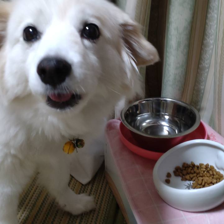 9481fcba 675f 430b bf10 dc643744cc98 1650660296119