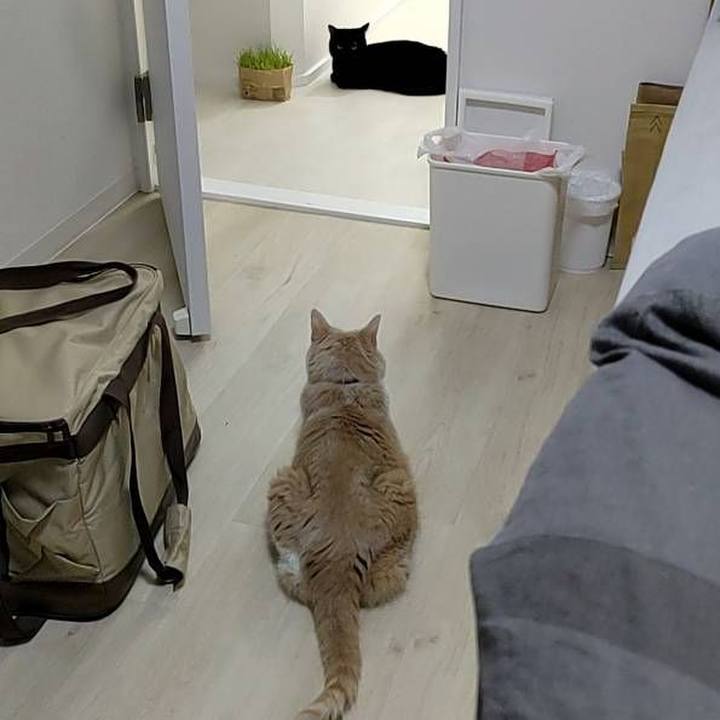 9482073e 3c23 4cf6 acf6 9e2fa5064eff 1694927364938