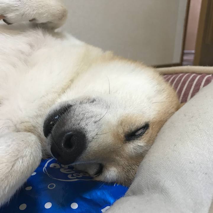 94820d36 4435 4620 bf0f 54e4f7028471 1535335838885