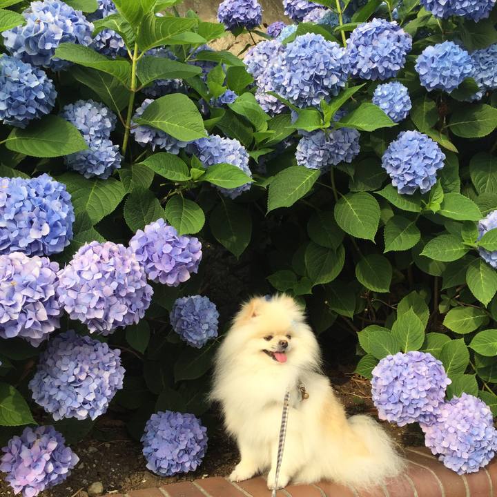 94821173 3854 4686 8764 82f56f64907d 1591309303417