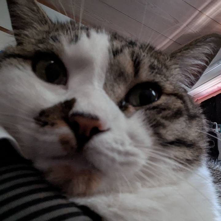 94821a69 0b7a 4e5e 95ae c2e0454d32c1 1748749751936