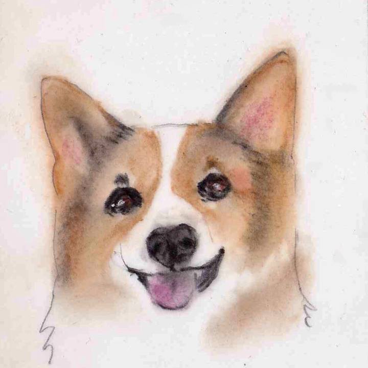 948228ed 1a10 4a6a b2ed b742a6e89a3a 1634033696888