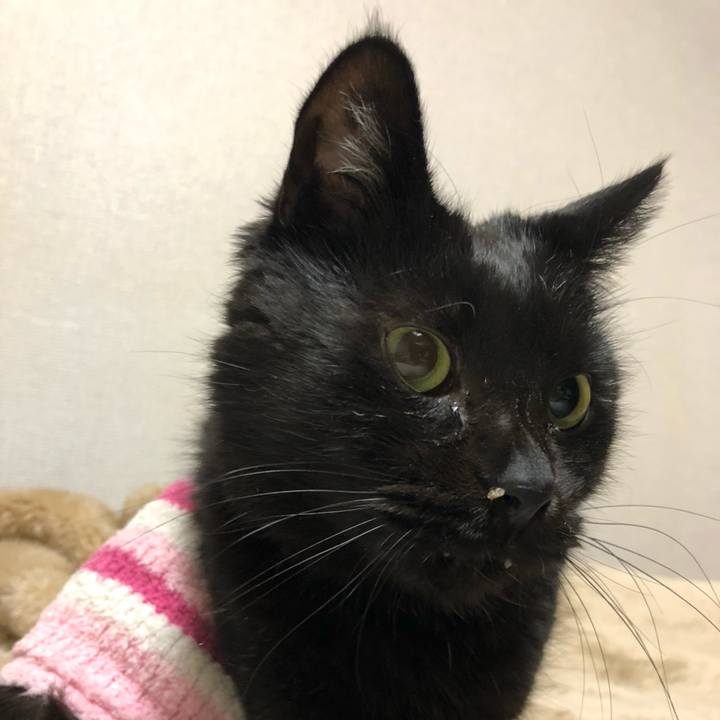 9482616c 9ac5 477b a906 cb309140c3df 1610660281118