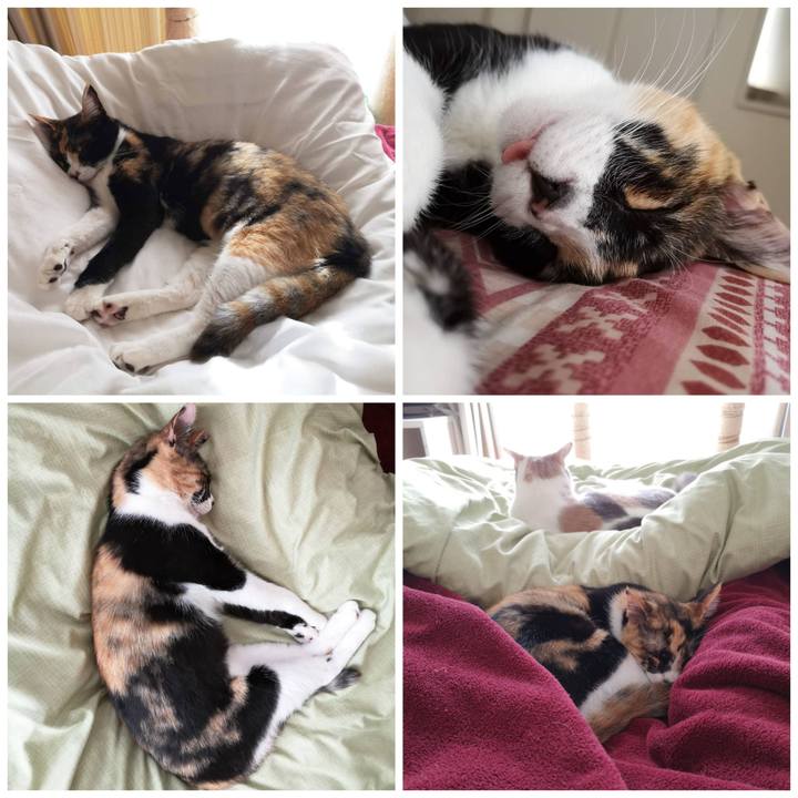 948275dc cf15 4105 9a02 6a788cb23fa5 1606206461063