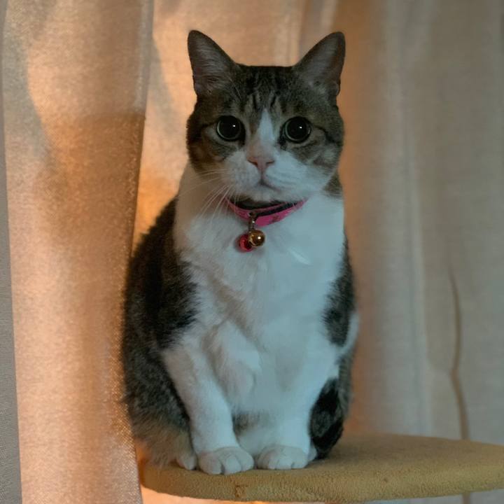 9482764b 4293 4c95 886c 4d282084ee6b 1639277378480