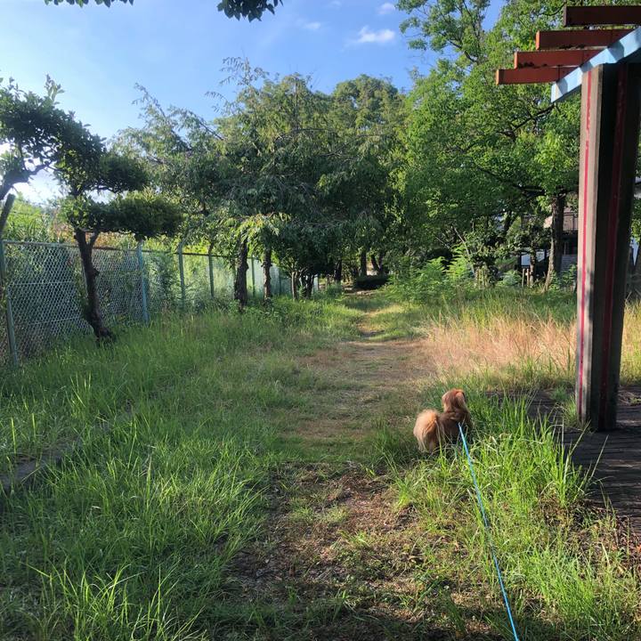 94829ec7 8e11 4b6d 8053 ee44d8736646 1534547957720