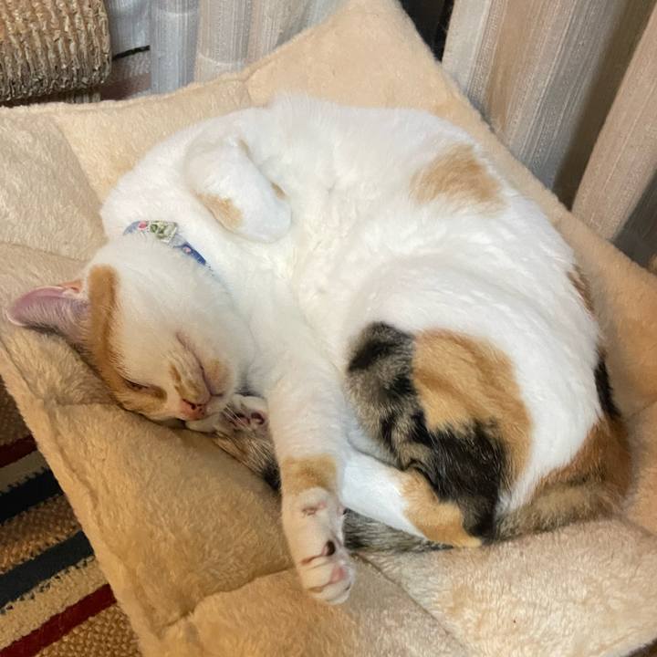 9482a4a9 8bc4 4942 979f cf1cd2fd32db 1726495179614