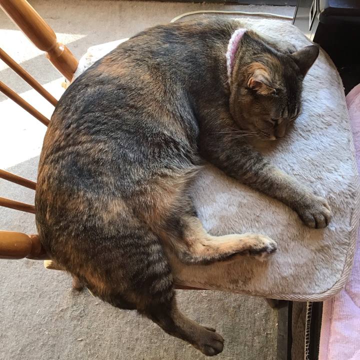 9482af60 dce5 4166 b26c 8bcef4e3dfb3 1675590500913