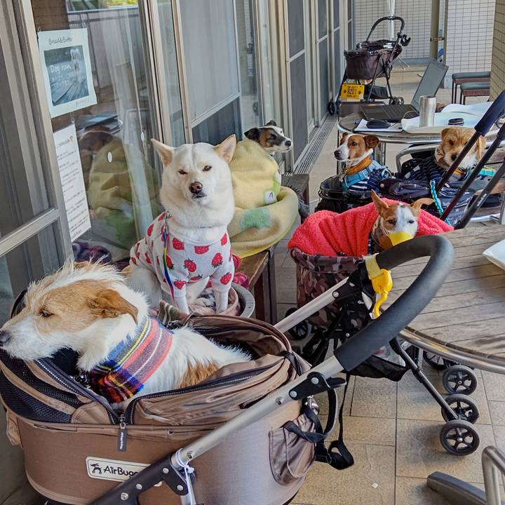 9482c856 e996 4e72 8503 91b466255554 1640173417170