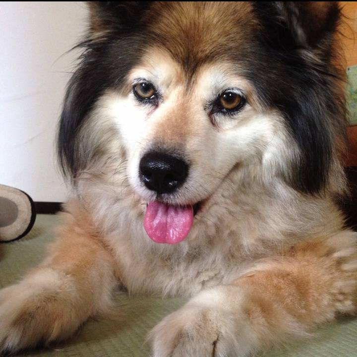 94834ae7 ba59 4104 a800 dfdbf45aaf5f 1551330958817