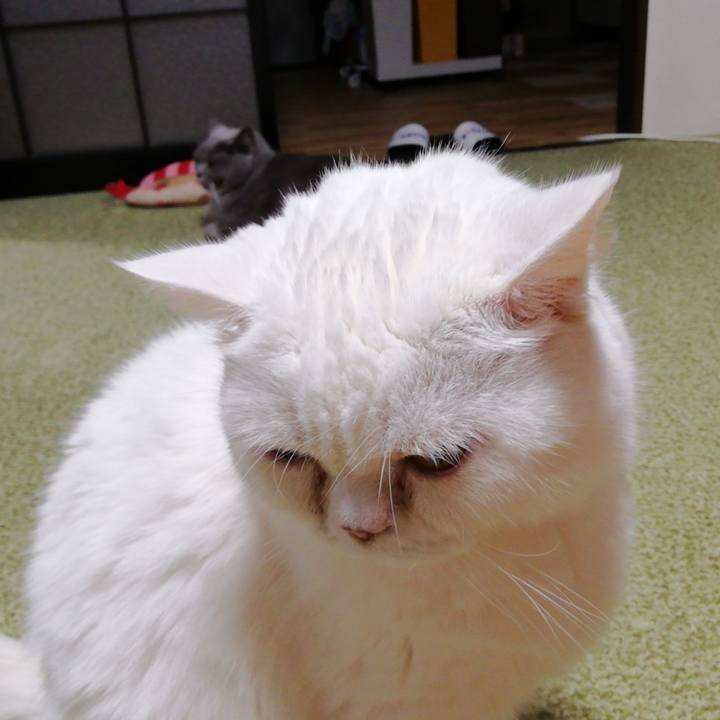 9483634d aa21 44db b294 9bd78c3677a3 1700830011628