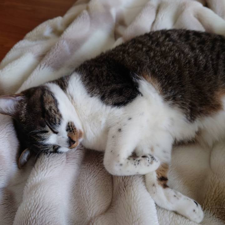 94837fa1 fd32 4d43 a7a7 60b532f33775 1755719178609