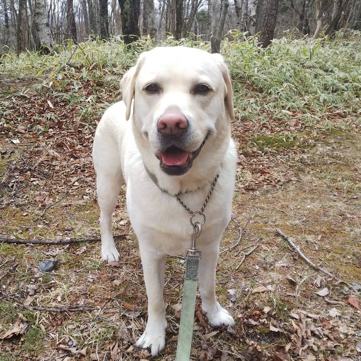 9483b164 9688 4c3d 8a64 1b05f153b44f 1556763300834