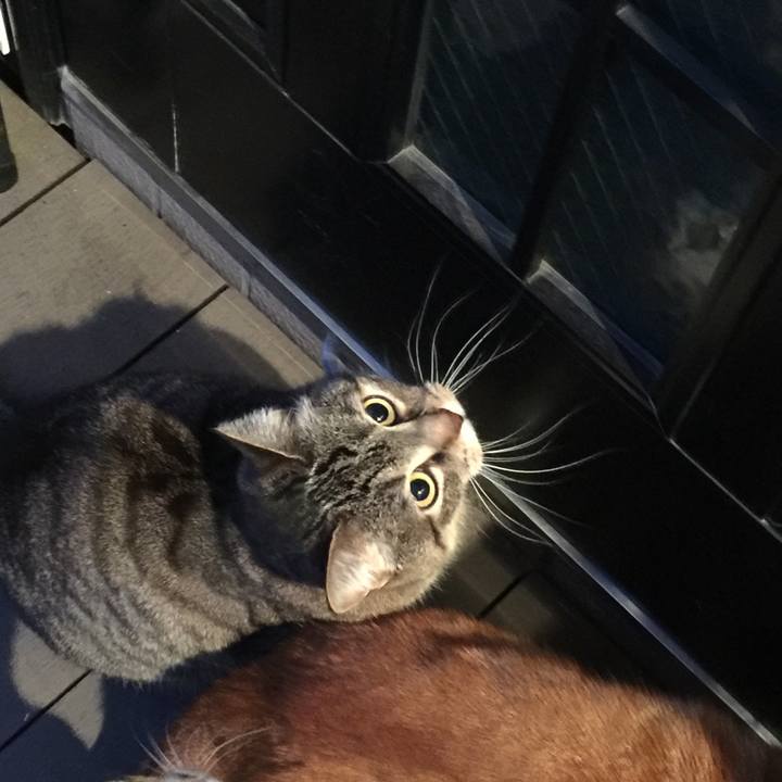 9483c9a0 e236 4563 b6b3 c6488613ef47 1555407759813