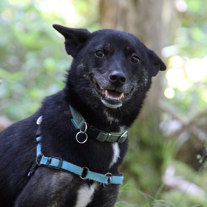 9483efdb 7fbe 42d5 9423 ace97ccbbb12 1534650851835