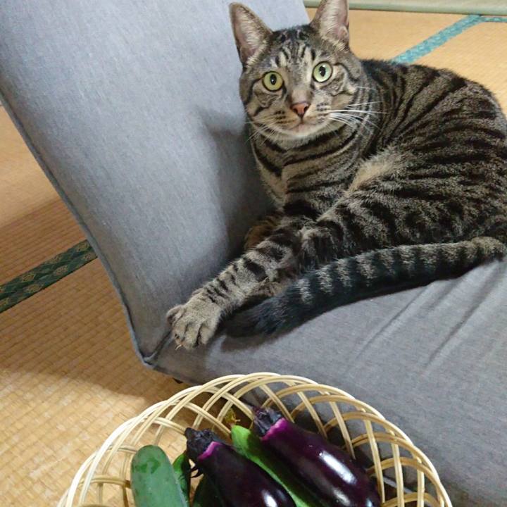 9484141d 0f59 466d b9e8 0503644a3764 1566346265533