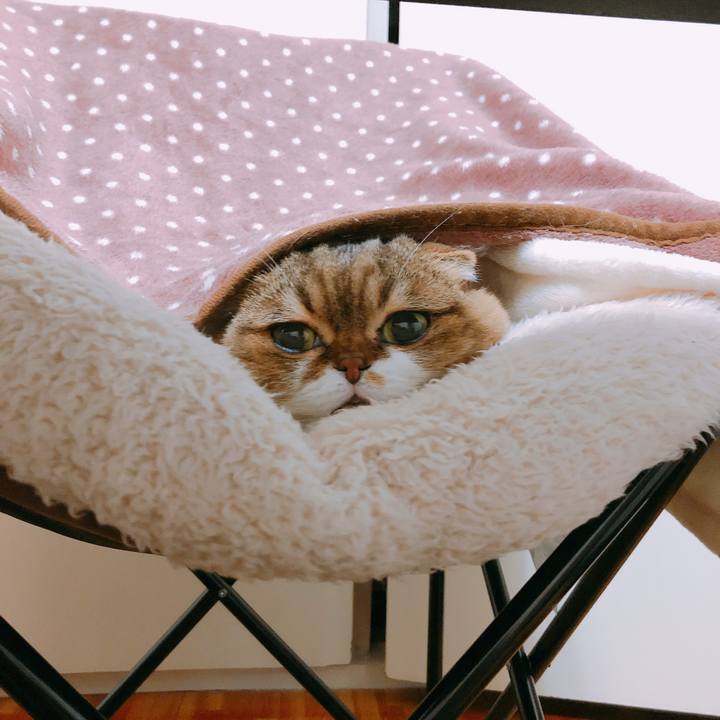 94842e1c f83c 4c5a b2ab 0a4b125e08f8 1545323018021