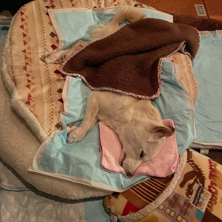 94843048 8775 4d31 a96b 0bc304cbf62a 1669287210515