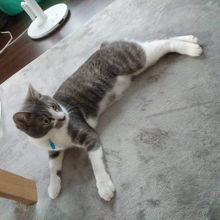 94846b10 5d90 4907 aa8b 8a5a79d5305e 1589063714232