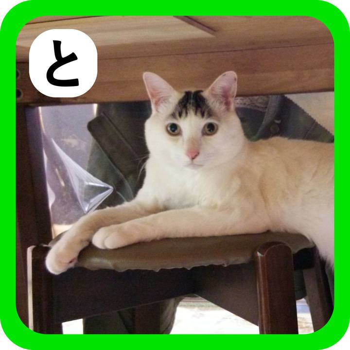 94847969 f902 466e b084 b1f072032754 1514971601628